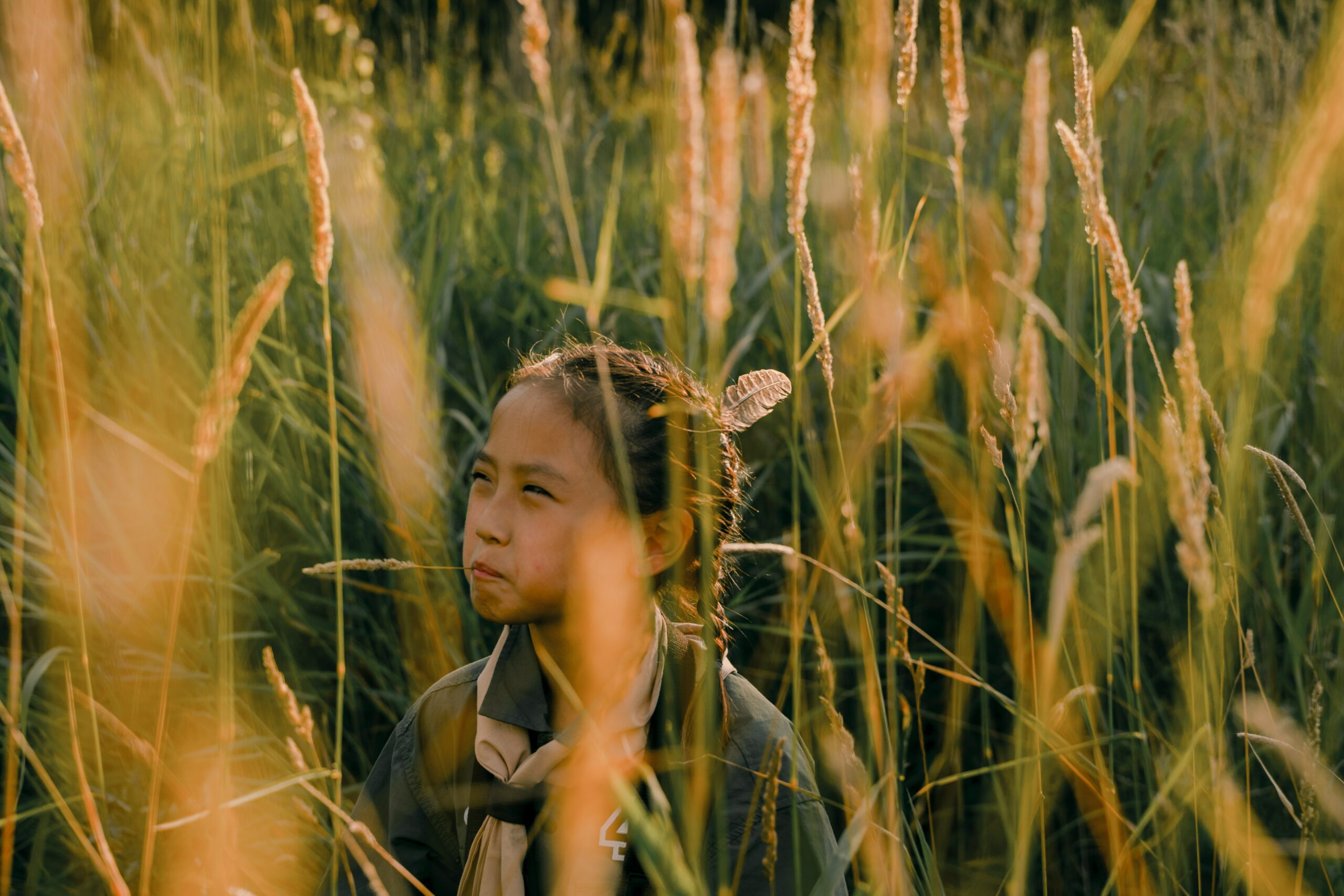 Der Film nach der Reise