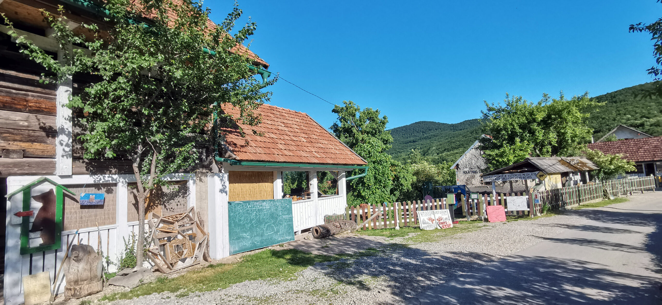 11_Kroatien-Bear