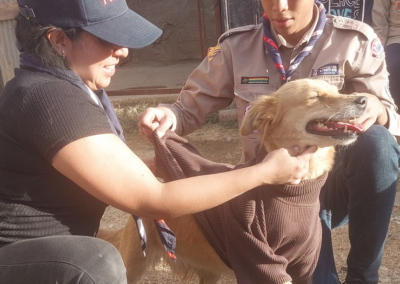 Bild von Tierheim unterstützung